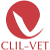 CLIL-VET